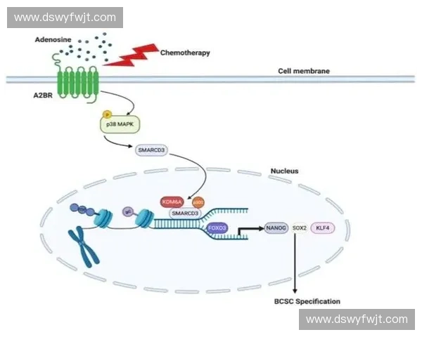 以战术分配为核心的团队协作与资源优化策略研究